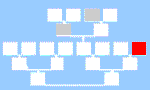 family tree icon